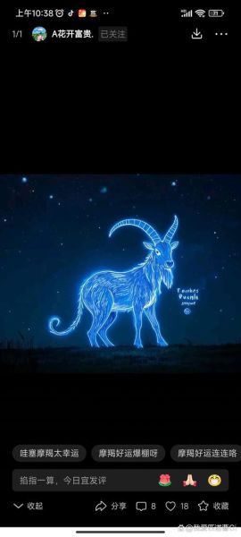 魔羯星辰是什么_魔羯星辰运势准吗