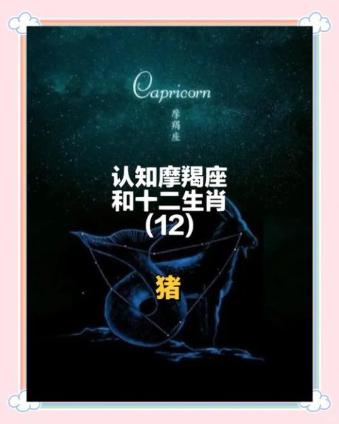 魔羯猪是什么_魔羯猪性格特点解析