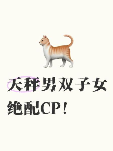 天秤男觉得双子女下头_如何挽回