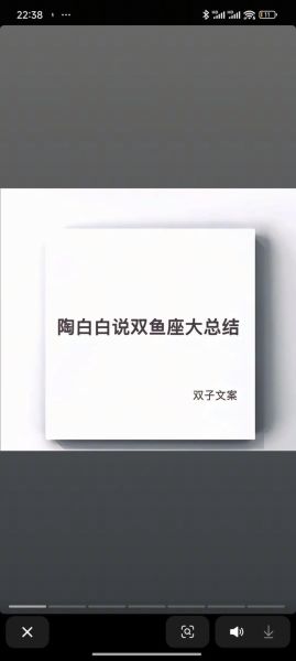 双鱼伊是什么_双鱼伊创作风格解析