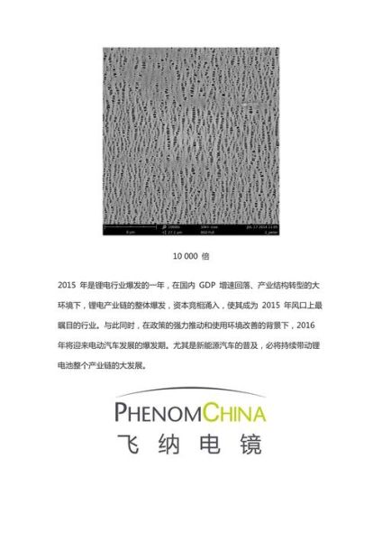 魔羯电镜多少钱一台_魔羯电镜使用教程