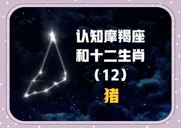 属猪魔羯座男性格特点_如何相处