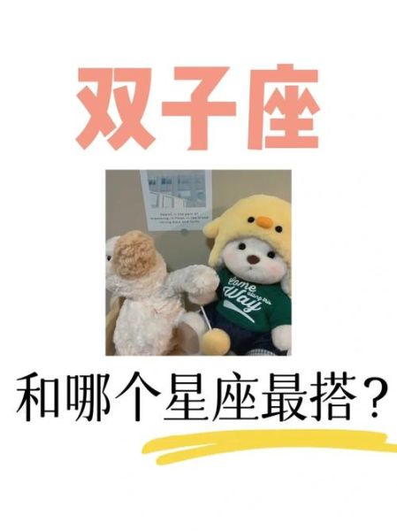 双子女保险怎么选_适合双子座的保险有哪些