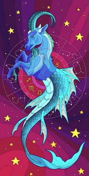 魔羯动漫角色性格特点_魔羯座动漫人物有哪些