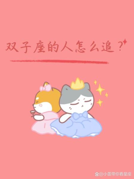 追双子女能累死你_怎么追双子女不累