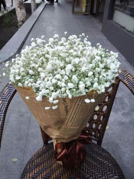 魔羯座幸运花是什么_如何养护魔羯幸运花