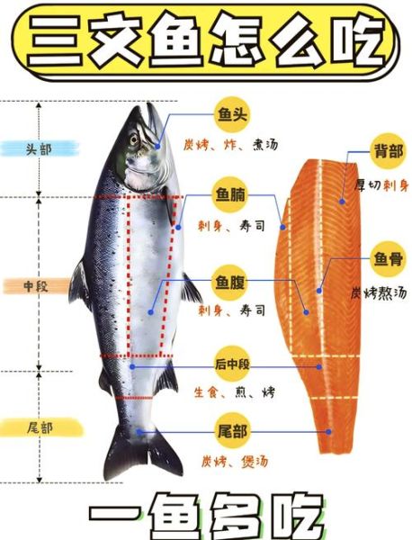 鱼腩和双子女配对吗_鱼腩双子女相处技巧