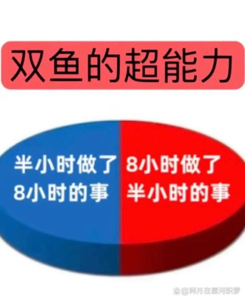 双鱼睿是什么_双鱼睿怎么用