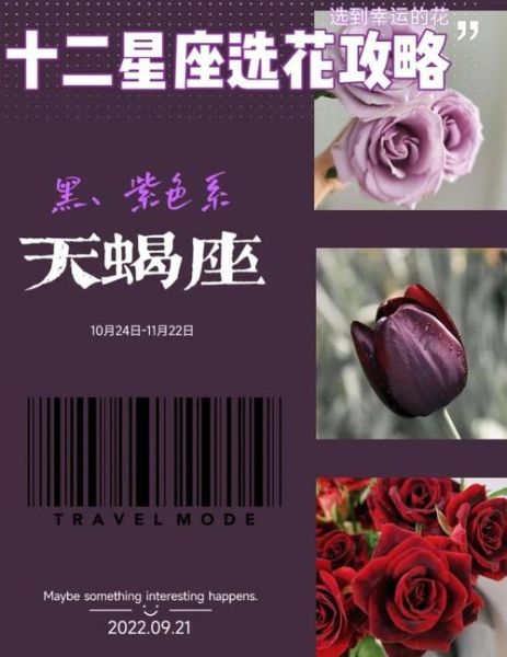 花之天蝎座适合什么花_天蝎座幸运花有哪些