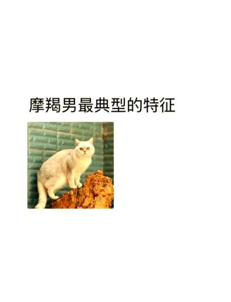 魔羯男是霸道总裁吗_魔羯男恋爱特征