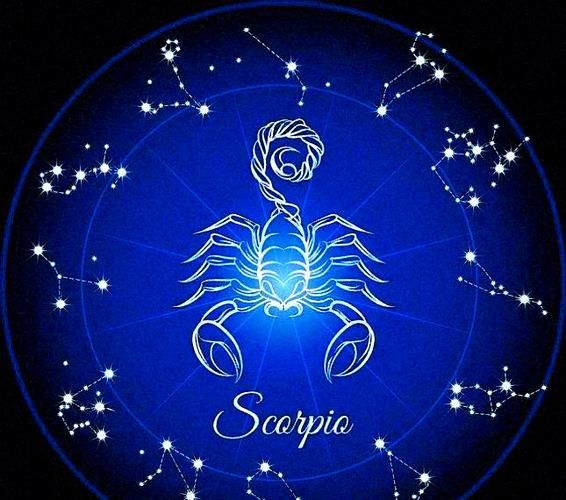 天蝎座代表花是什么_天蝎座花语及含义