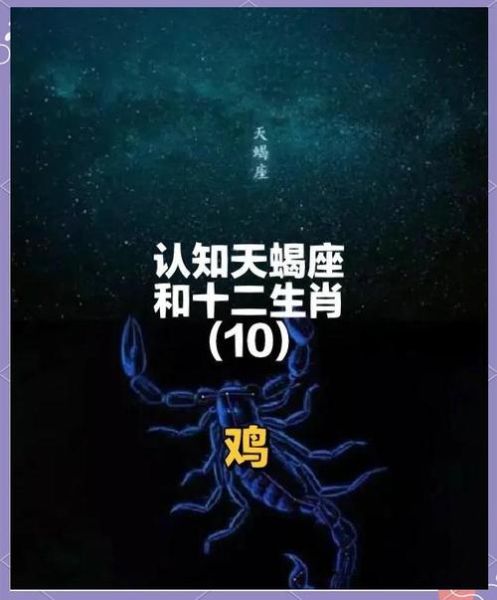 鸡天蝎座性格特点_鸡天蝎座和什么星座最配