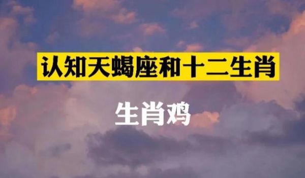 鸡天蝎座性格特点_鸡天蝎座和什么星座最配