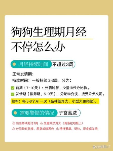 属狗双子女的健康_如何调理体质