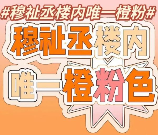 双子女应援色是什么颜色_如何挑选应援色