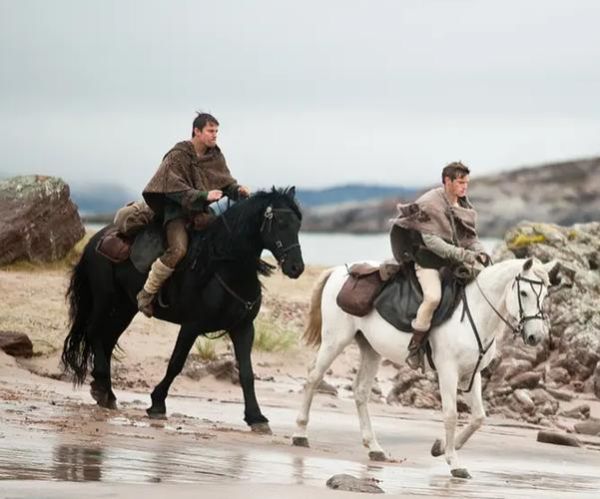 魔羯兵团是什么_魔羯兵团靠谱吗