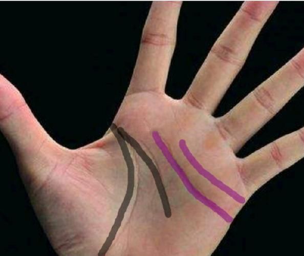 双子女手相特征_双子女感情线准吗