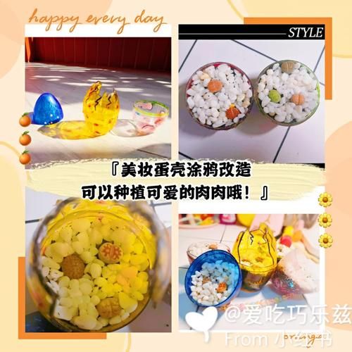 魔羯蛋壳是什么_魔羯蛋壳有什么作用