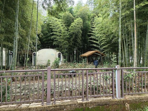 硬上双子女会怎样_双子女被强吻后心理