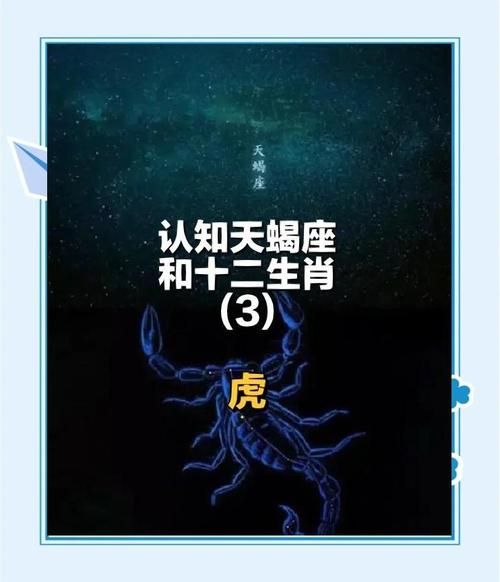 属虎天蝎座2017年运势详解_如何化解事业与感情危机