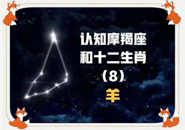 山羊魔羯适合养吗_新手饲养指南