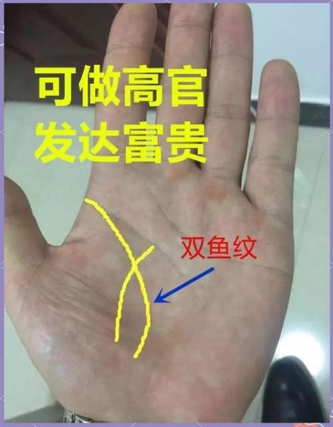 双鱼纹手掌_命运好不好