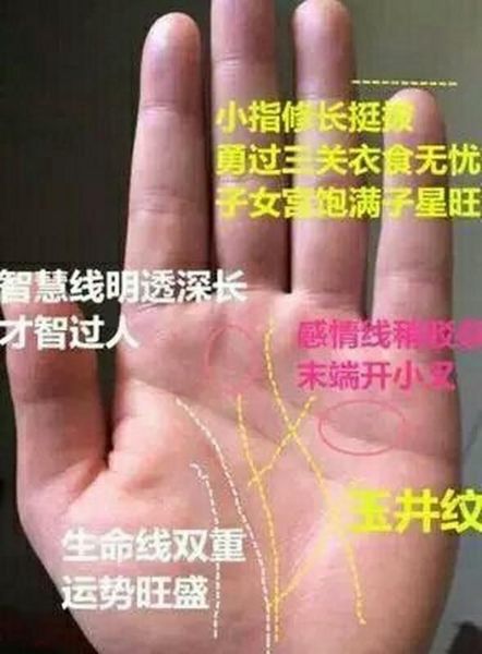 双鱼纹手掌_命运好不好