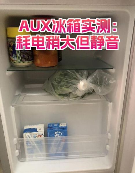 魔羯小冰箱值得买吗_魔羯小冰箱耗电吗