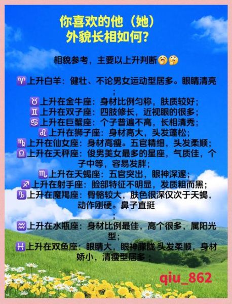 上升双子女太阳射手性格_适合什么职业