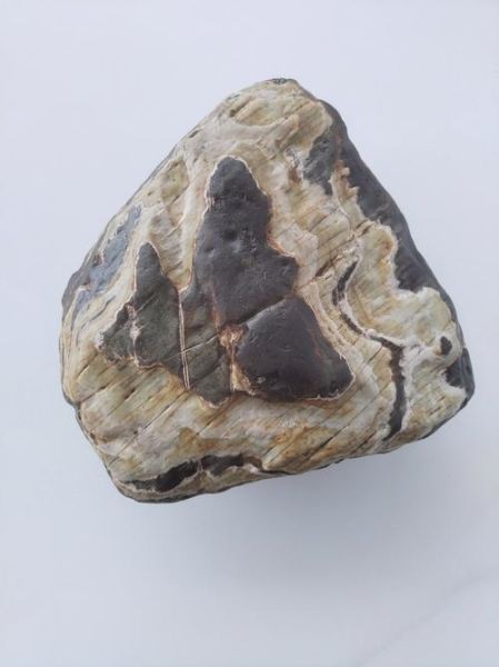 魔羯石头是什么_魔羯石头功效真假