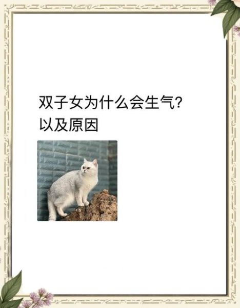 双子女突然不秀恩爱_原因