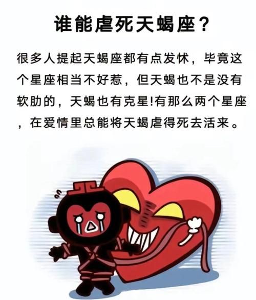 11月7日天蝎座聪明吗_天蝎座智商表现