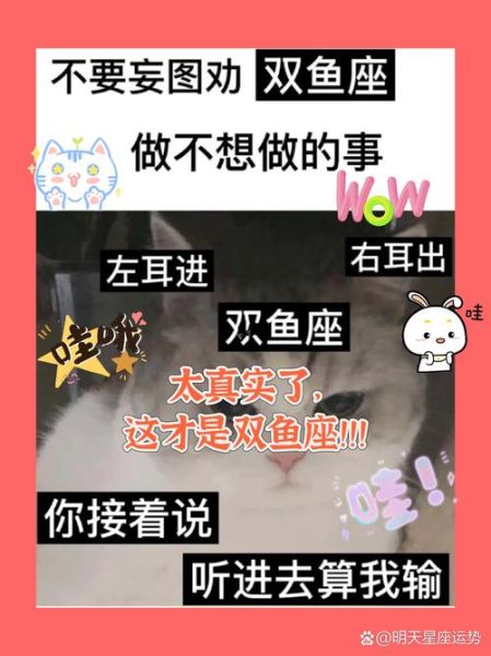 硬双鱼是什么_硬双鱼和普通双鱼区别