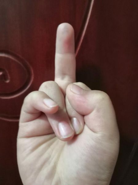 双子女鄙视手势什么意思_如何优雅反击