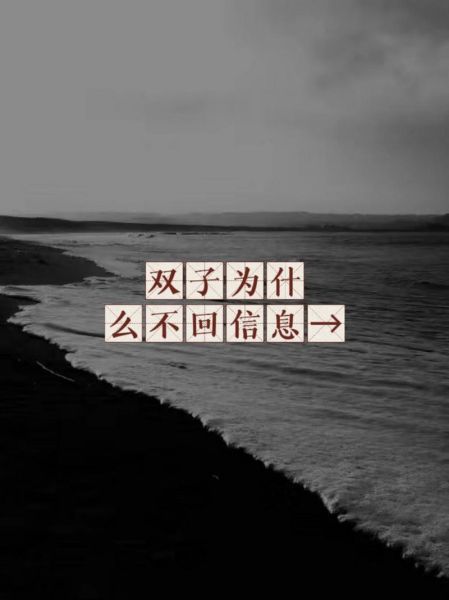 双子女突然不回复_双子女不回消息怎么办