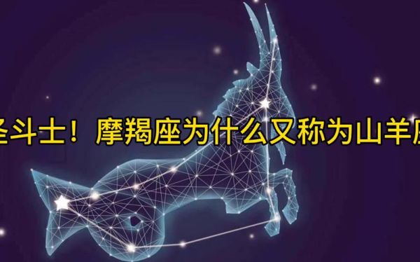 魔羯有钱_魔羯座为什么容易暴富