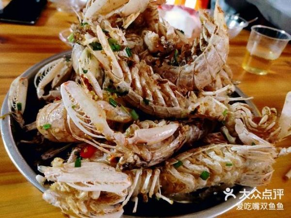 双鱼螺是什么_双鱼螺怎么养