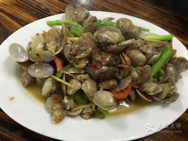 双鱼螺是什么_双鱼螺怎么养