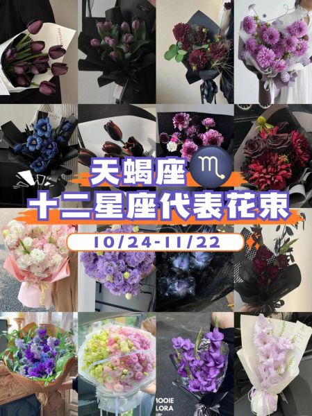 天蝎座彩虹_天蝎座彩虹象征什么