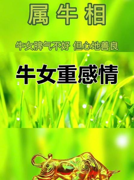 牛双子女的性格特点_如何相处