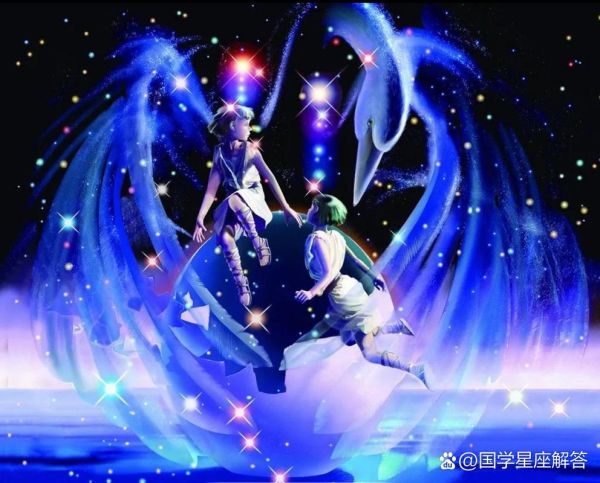 属猪双子座女生职场优势_如何发挥